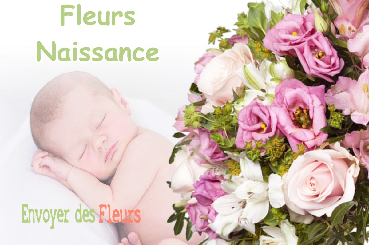 lIVRAISON FLEURS NAISSANCE à DRAP